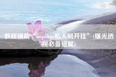 教程辅助“wepoker私人局开挂”(曝光透视必备猫腻)