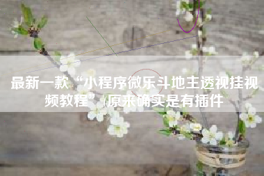 最新一款“小程序微乐斗地主透视挂视频教程	”(原来确实是有插件