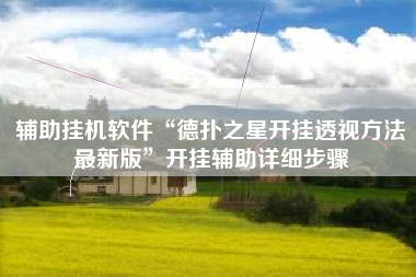 辅助挂机软件“德扑之星开挂透视方法最新版”开挂辅助详细步骤