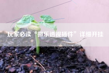 玩家必读“微乐透视插件”详细开挂