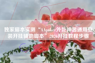 独家脚本实测“AApoker外卦神器通用安装开挂辅助脚本”2026开挂教程步骤