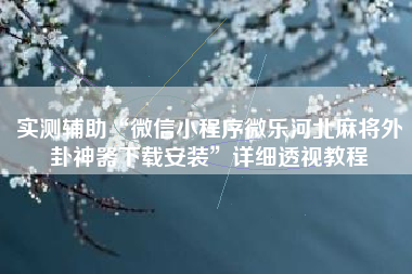实测辅助“微信小程序微乐河北麻将外卦神器下载安装”详细透视教程