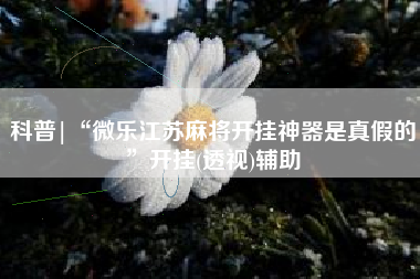 科普|“微乐江苏麻将开挂神器是真假的”开挂(透视)辅助