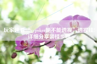 玩家速看“wepoker能不能透视”透视挂!详细分享装挂步骤