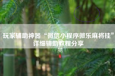 玩家辅助神器“微信小程序微乐麻将挂”详细辅助教程分享