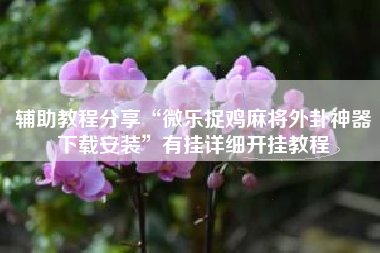 辅助教程分享“微乐捉鸡麻将外卦神器下载安装”有挂详细开挂教程