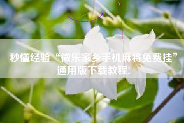 秒懂经验“微乐家乡手机麻将免费挂	”通用版下载教程!