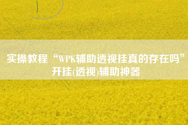 实操教程“WPK辅助透视挂真的存在吗”开挂(透视)辅助神器