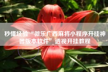 秒懂经验“微乐广西麻将小程序开挂神器版本软件”透视开挂教程