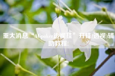 重大消息“AGpoker透视挂”开挂(透视)辅助教程!
