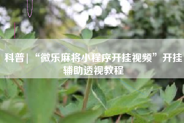 科普|“微乐麻将小程序开挂视频	”开挂辅助透视教程