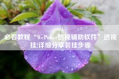 必看教程“WePoKer透视辅助软件	”透视挂!详细分享装挂步骤