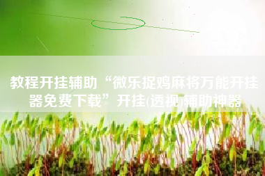 教程开挂辅助“微乐捉鸡麻将万能开挂器免费下载	”开挂(透视)辅助神器