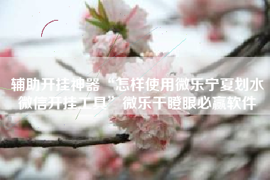 辅助开挂神器“怎样使用微乐宁夏划水微信开挂工具”微乐干瞪眼必赢软件