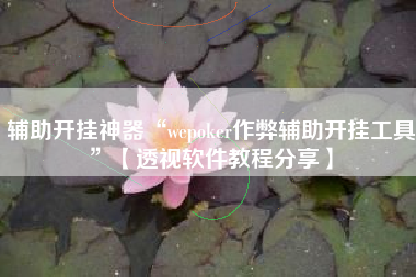 辅助开挂神器“wepoker作弊辅助开挂工具	”【透视软件教程分享】
