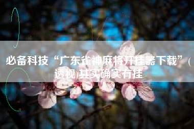 必备科技“广东雀神麻将开挂器下载”(透视)其实确实有挂