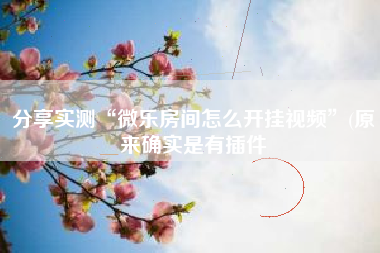 分享实测“微乐房间怎么开挂视频	”(原来确实是有插件