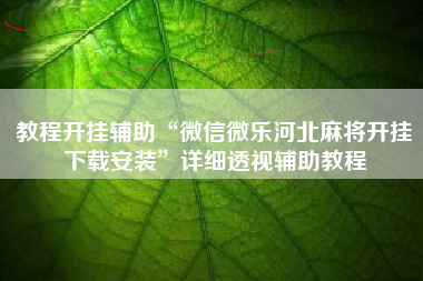 教程开挂辅助“微信微乐河北麻将开挂下载安装”详细透视辅助教程