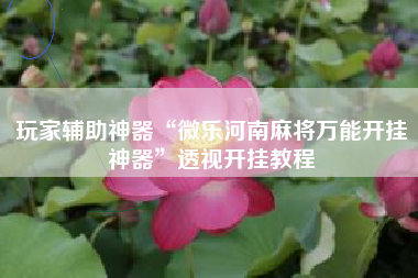 玩家辅助神器“微乐河南麻将万能开挂神器	”透视开挂教程