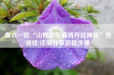 盘点一款“山西微乐麻将开挂神器	”透视挂!详细分享装挂步骤