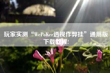玩家实测“WePoKer透视作弊挂”通用版下载教程!