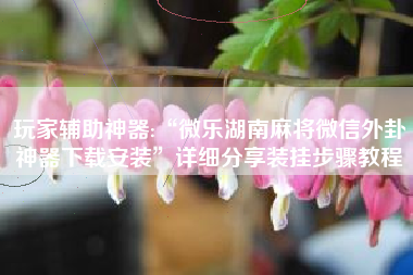 玩家辅助神器:“微乐湖南麻将微信外卦神器下载安装	”详细分享装挂步骤教程