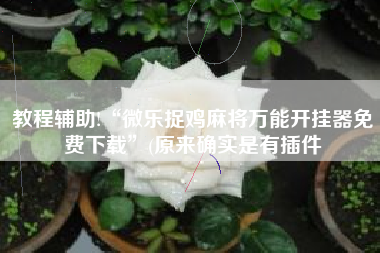 教程辅助!“微乐捉鸡麻将万能开挂器免费下载”(原来确实是有插件