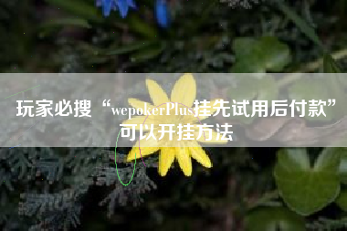 玩家必搜“wepokerPlus挂先试用后付款”可以开挂方法