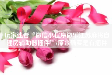 玩家速看“微信小程序微乐江苏麻将自建房辅助器插件”(原来确实是有插件