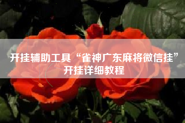 开挂辅助工具“雀神广东麻将微信挂”开挂详细教程