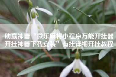 助赢神器“微乐麻将小程序万能开挂器开挂神器下载安装”有挂详细开挂教程