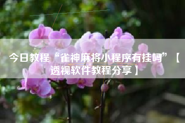 今日教程“雀神麻将小程序有挂吗	”【透视软件教程分享】