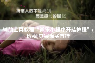 辅助工具教程“微乐小程序开挂教程	”(透视)其实确实有挂