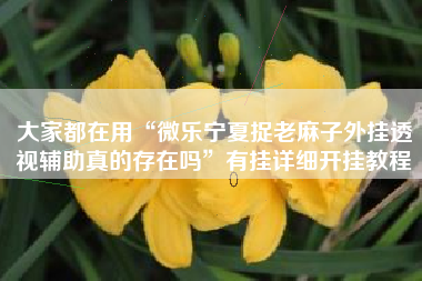 大家都在用“微乐宁夏捉老麻子外挂透视辅助真的存在吗”有挂详细开挂教程