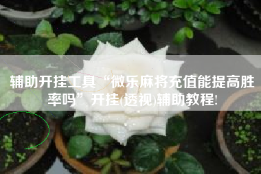 辅助开挂工具“微乐麻将充值能提高胜率吗	”开挂(透视)辅助教程!