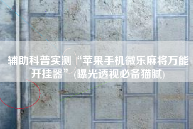 辅助科普实测“苹果手机微乐麻将万能开挂器”(曝光透视必备猫腻)