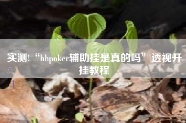 实测!“hhpoker辅助挂是真的吗”透视开挂教程