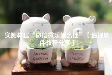 实测教程“微信微乐刨幺挂”【透视软件教程分享】