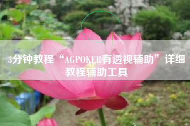 3分钟教程“AGPOKER有透视辅助”详细教程辅助工具