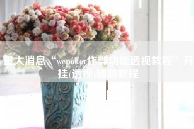 重大消息“wepoker作弊功能透视教程	”开挂(透视)辅助教程