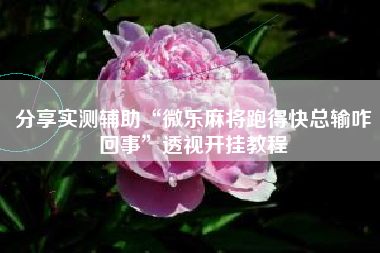 分享实测辅助“微乐麻将跑得快总输咋回事	”透视开挂教程