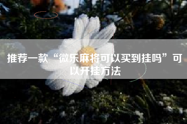 推荐一款“微乐麻将可以买到挂吗	”可以开挂方法