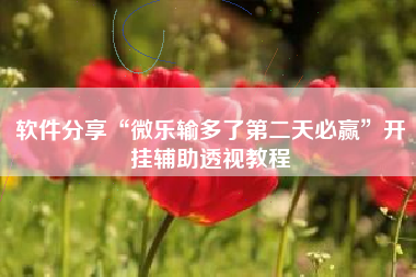 软件分享“微乐输多了第二天必赢”开挂辅助透视教程