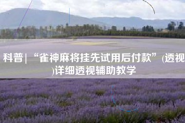 科普|“雀神麻将挂先试用后付款	”(透视)详细透视辅助教学