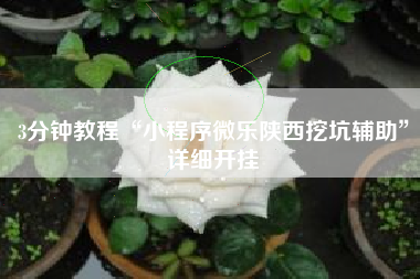 3分钟教程“小程序微乐陕西挖坑辅助”详细开挂