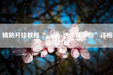 辅助开挂教程“agpoker透视挂下载	”详细透视教程