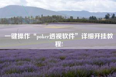 一键操作“poker透视软件”详细开挂教程!