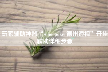 玩家辅助神器“sohoopoker德州透视	”开挂辅助详细步骤