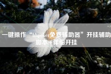 一键操作“hhpoker免费辅助器”开挂辅助脚本+详细开挂