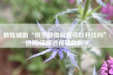 教程辅助“微乐湖南麻将可以开挂吗	”(透视)详细透视辅助教学
